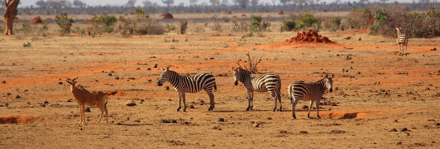 Nairobi → Coast Road Trip