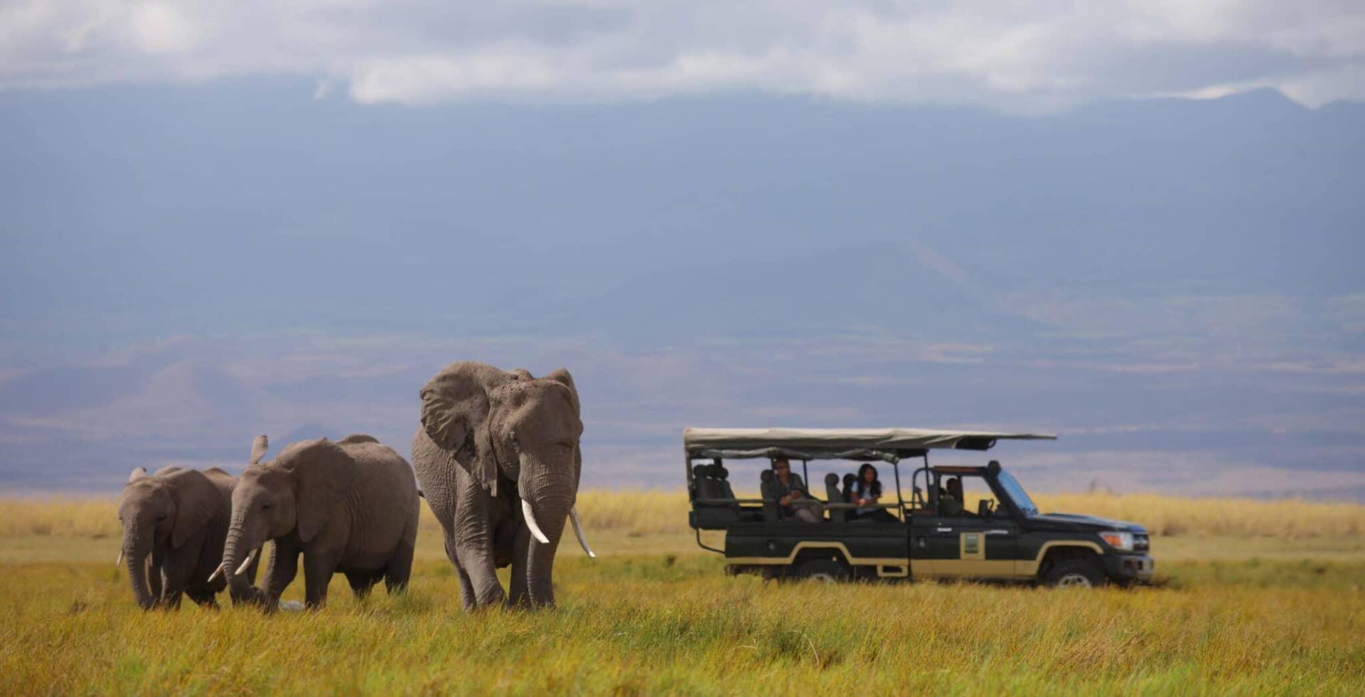 Safari jeep beside elephants — Nairobi NP
