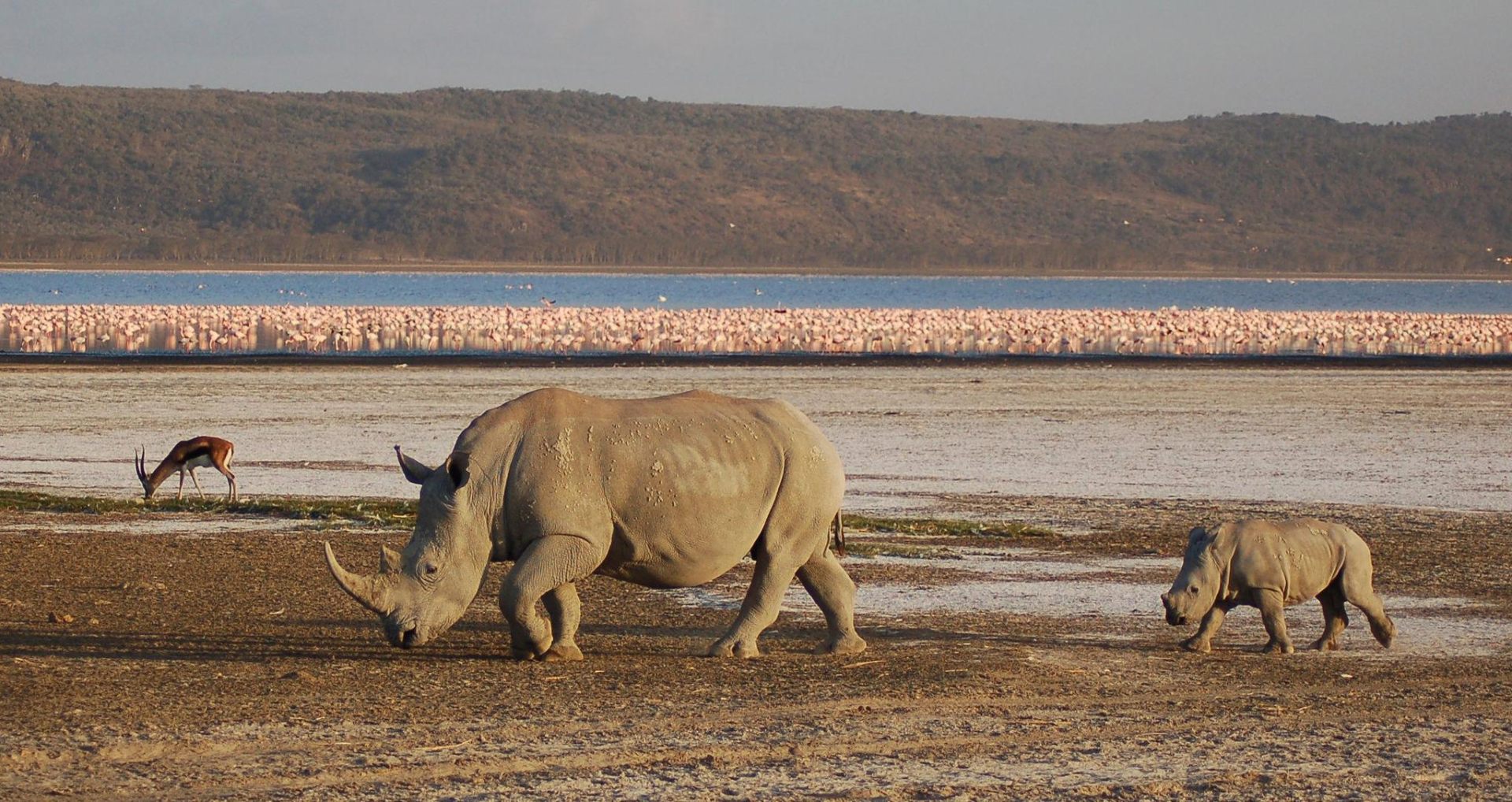 Rift Valley Birding Trail