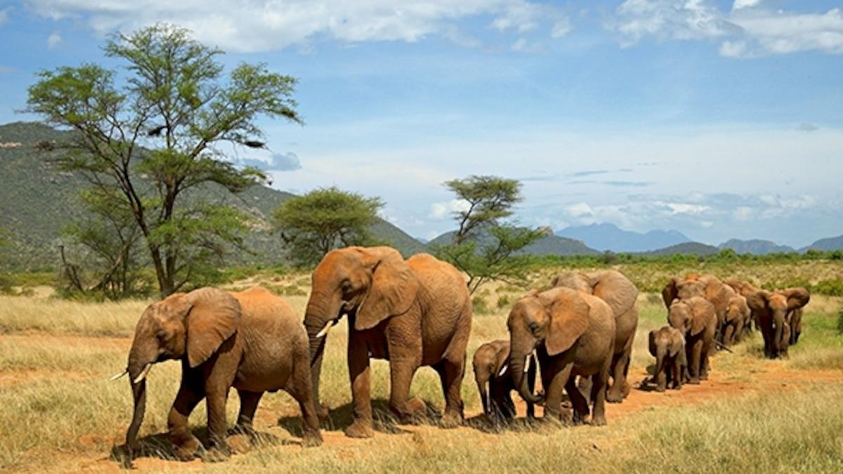 Kenya — The wild north
